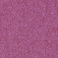 Fortuna Project-SDN 683